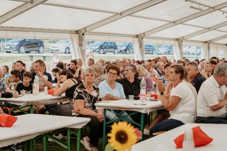 Občinski praznik__040